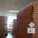 성성한의원 이미지