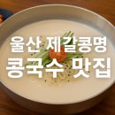 제갈콩명 이미지