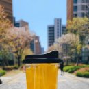 공차상일동역점 | 오늘도 도전🙋‍♀️ 블챌 오늘일기 공차 상일동역점