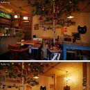 Cafe 153 이미지