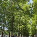 이편한세상시민공원아파트경로당 이미지