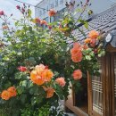 욱이네민박 이미지