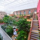 스넥테라스 이미지