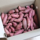 동림농장 이미지