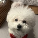 키스단란주점 - 음성군 시장로 103-3 | 키스단란주점