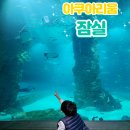 롯데월드 아쿠아리움 벨루가 : 아이와 다녀온 후기와 주차 할인
