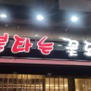 불타는꽃돼지 이미지