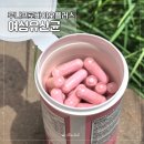 루나프로바이오플러스 30대 크랜베리 여성유산균 꾸준히 챙겨먹는 이유