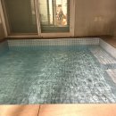 유유한가 이미지