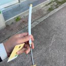 익산초등학교 이미지