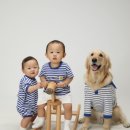 시흥시 대야동 은나무스튜디오 돌촬영 완료 후기