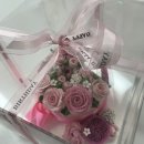 정희농장 | 25년 9월 내 일상