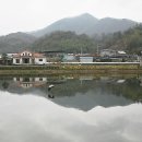 외입석 Daum카페