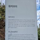 섭지코지 이미지