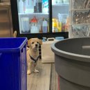 벤츠 당구장 이미지