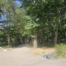 가로수길 이미지