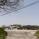 정안이발소 네이버블로그