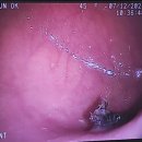 스마일동물의료센터 이미지