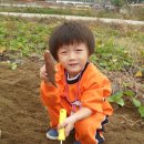 죠이랜드 이미지