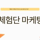 엠플리파이 | 체험단 마케팅, 얼마를 손해 보셨나요?