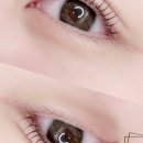 예쁘다속눈썹 네이버블로그