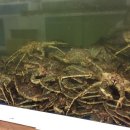 한내초교 정문 이미지