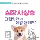 누리동물병원 이미지