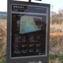 화랑유원지_암벽등반장주변 | 경기도 봄꽃구경 안산 벚꽃 명소 화랑유원지 지도 개화 상황