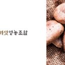 부여표고버섯식품