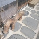 아미뜰 한옥향기 이미지