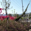 한마당펜션 이미지