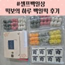 떡보의하루 | 셀프백일상, 떡보의 하루 백일떡 주문 후기