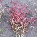 남천고을 이미지