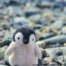 영화의거리 내(아델리스 103동 앞) | [11월 부산 여행] 2박 3일 부산 여행-후기