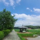 이동(내동) 마을회관 이미지