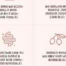 뉴트리플랜