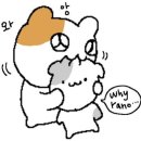 널그리고