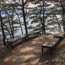 청천호 둘레길 주차장 이미지