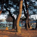 흥해서부초등학교 이미지