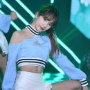 설아 카카오 검색결과
