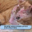 (주)선한농장