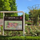협동조합 고인돌