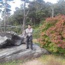 벽진초등학교 이미지