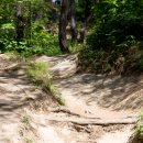 무릉도원면-41 이미지