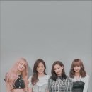 블랙핑크 티스토리
