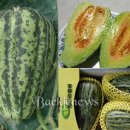 성환농업협동조합 이미지