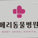 메리 동물병원 이미지