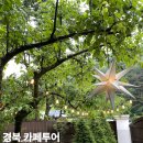 용신57 | 경북 성주 카페 추천 4곳