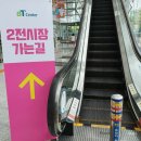 [제14회] 궁디팡팡 캣페스타 후기 2편