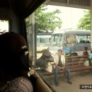 타이농카이 - 시흥시 정왕대로337번길 38 | 타이농카이